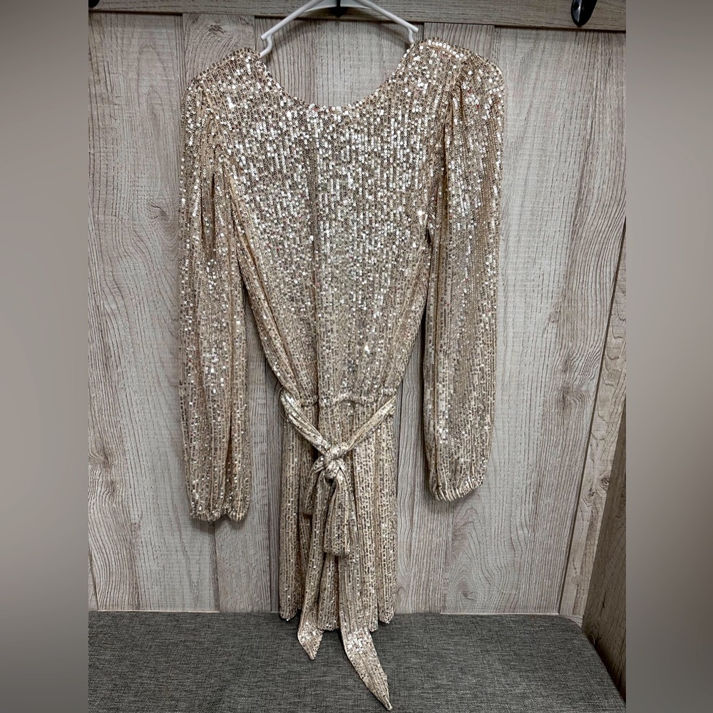 Long sleeve champagne sequin dress.